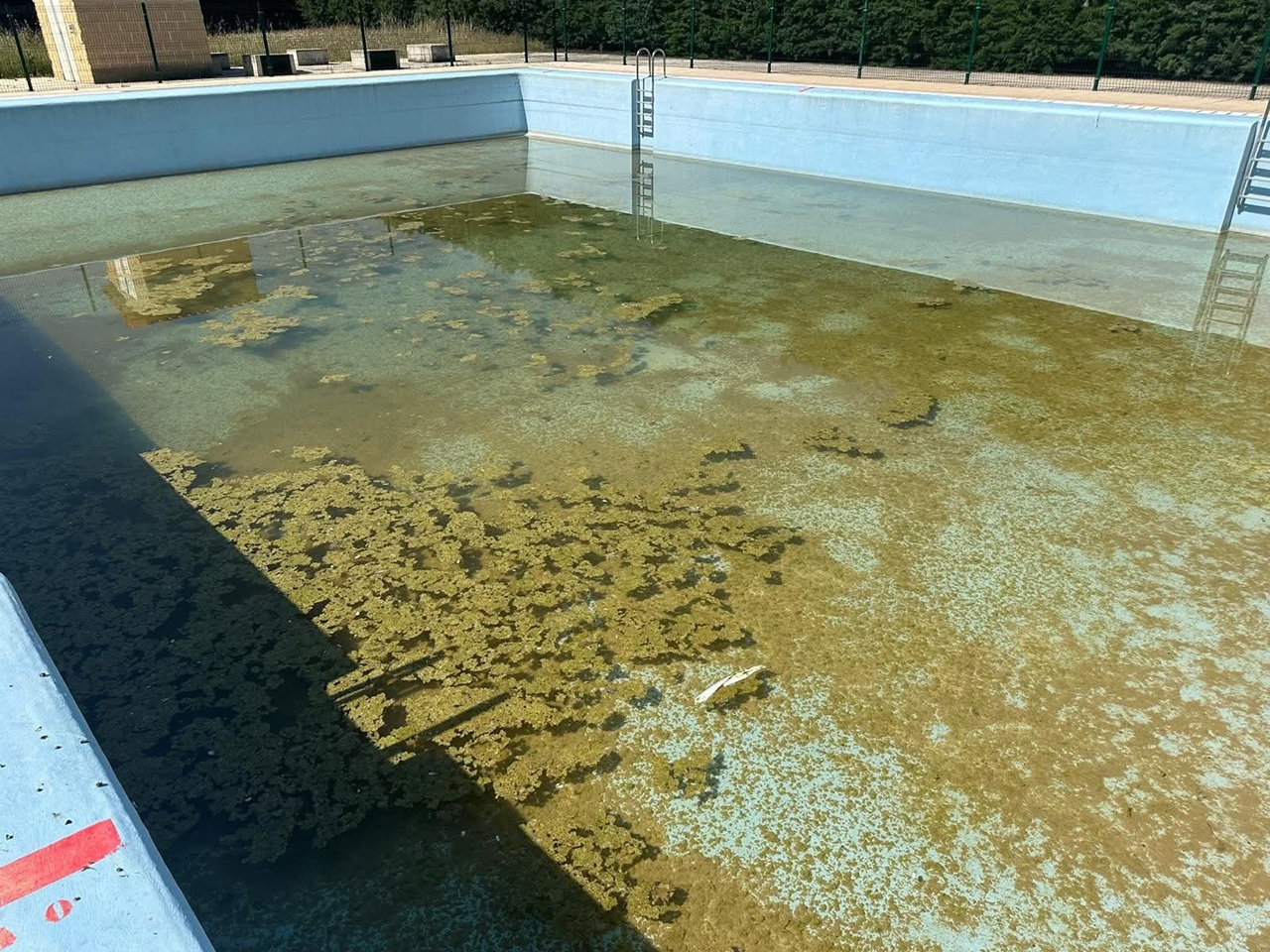 El PP de Pioz denuncia el estado de abandono de la piscina municipal a pocos días de su apertura El PP de Pioz denuncia el estado de abandono de la piscina municipal a pocos días de su apertura