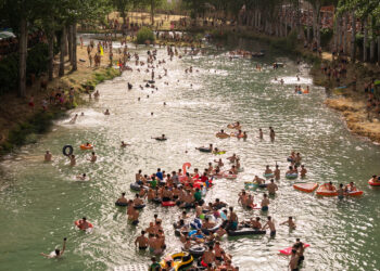 Este fin de semana, alrededor de 10.000 personas se han dado cita en Trillo para conmemorar el treinta aniversario de las Vacas por el Tajo. Este festejo taurino, convertido en el principal atractivo de la Feria Chica del municipio alcarreño, congregó el sábado a miles de aficionados en las márgenes del río para presenciar la suelta de ocho reses. La cita transcurrió con un rotundo éxito de participación y organización, consolidando a la localidad como un epicentro festivo ineludible en la provincia de Guadalajara. El evento principal comenzó a las 18.00 horas bajo altas temperaturas, lo que animó a muchos asistentes a seguir el espectáculo refrescándose directamente en el agua. El concejal de Festejos, Sergio Recuero, realizó un balance impecable de la jornada. Destacó el excelente trapío y juego de los animales pertenecientes a las ganaderías de Arriazu y Hermanos Joven. Subrayó, además, la eficaz labor de pastores, recortadores y bueyes mansos, quienes lograron que las ocho reses regresaran a los toriles por su propio pie. El balance sanitario confirmó la seguridad del recinto fluvial. El cirujano responsable del dispositivo, Jony González, reportó un único herido por asta de toro a nivel axilar con una trayectoria corta. Los servicios médicos atendieron a unas quince personas por contusiones menores y lavados, sin que se registrara ningún traslado de urgencia. La Feria Chica completó su programación atrayendo a distintos públicos mediante una variada oferta de actividades: Desfile de peñas y cena popular para más de 800 personas en el frontón municipal. Actuaciones musicales que incluyeron a la orquesta Vulkano Show y el festival Perreosfera, reuniendo a 1.200 personas en la plaza de toros La Isla. Encierros matutinos con dos novillos en la calle Tajonada y vermús amenizados por charangas. Parque acuático infantil y retransmisión del partido de la Selección Española para cerrar el domingo. Tres décadas de evolución en la provincia Tal y como consta en el archivo histórico de Liberal de Castilla, las Vacas por el Tajo han experimentado una transformación radical desde sus primeros pasos hasta alcanzar este señalado 30 aniversario. Lo que comenzó como una celebración puramente local exige hoy un despliegue organizativo capaz de gestionar un municipio que multiplica su población por diez durante un solo fin de semana. Esta evolución se refleja directamente en la profesionalización del festejo a lo largo de los últimos años. El seguimiento de ediciones pasadas demuestra cómo el Ayuntamiento de Trillo ha afinado la selección ganadera; un ejemplo claro es la repetición de las vacas de Hermanos Joven, contratadas nuevamente tras el excelente juego que, como documentamos, ofrecieron el año pasado. Asimismo, el historial médico del doctor Jony González, con doce años de experiencia al frente de este dispositivo concreto, confirma que la ratio de incidentes graves se mantiene extraordinariamente baja a pesar del aumento exponencial de público. Las Vacas por el Tajo han trascendido la tradición para convertirse en un motor turístico y económico fundamental para la región.