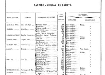 Foto 5. bis. Clasificación de montes