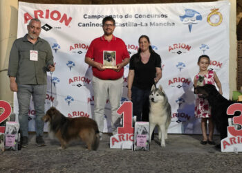 Fuentenovilla se afianza como capital canina de la Alcarria tras el éxito de su certamen nacional