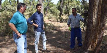 La Diputación de Cuenca activa ayudas de hasta 1.500 euros por resinero para asentar población