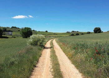 La Diputación inyecta 1,2 millones para arreglar los caminos agrícolas de 92 pueblos de Guadalajara en 2026
