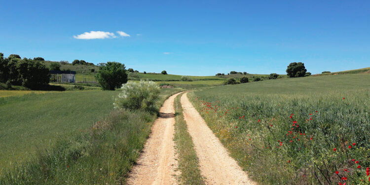 La Diputación inyecta 1,2 millones para arreglar los caminos agrícolas de 92 pueblos de Guadalajara en 2026