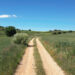 La Diputación inyecta 1,2 millones para arreglar los caminos agrícolas de 92 pueblos de Guadalajara en 2026