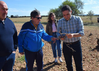 La Diputación inyecta 320.000 euros a 65 cotos conquenses para frenar la plaga de conejos