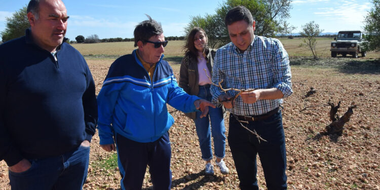 La Diputación inyecta 320.000 euros a 65 cotos conquenses para frenar la plaga de conejos