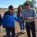 La Diputación inyecta 320.000 euros a 65 cotos conquenses para frenar la plaga de conejos 3 La Diputación inyecta 320.000 euros a 65 cotos conquenses para frenar la plaga de conejos