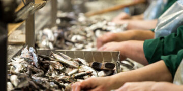 La Junta apoya con un millón de euros a las empresas de transformación y comercialización de productos de pesca y acuicultura