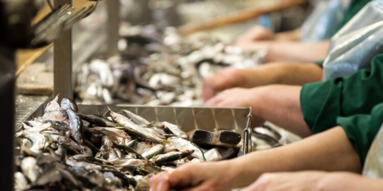 La Junta apoya con un millón de euros a las empresas de transformación y comercialización de productos de pesca y acuicultura