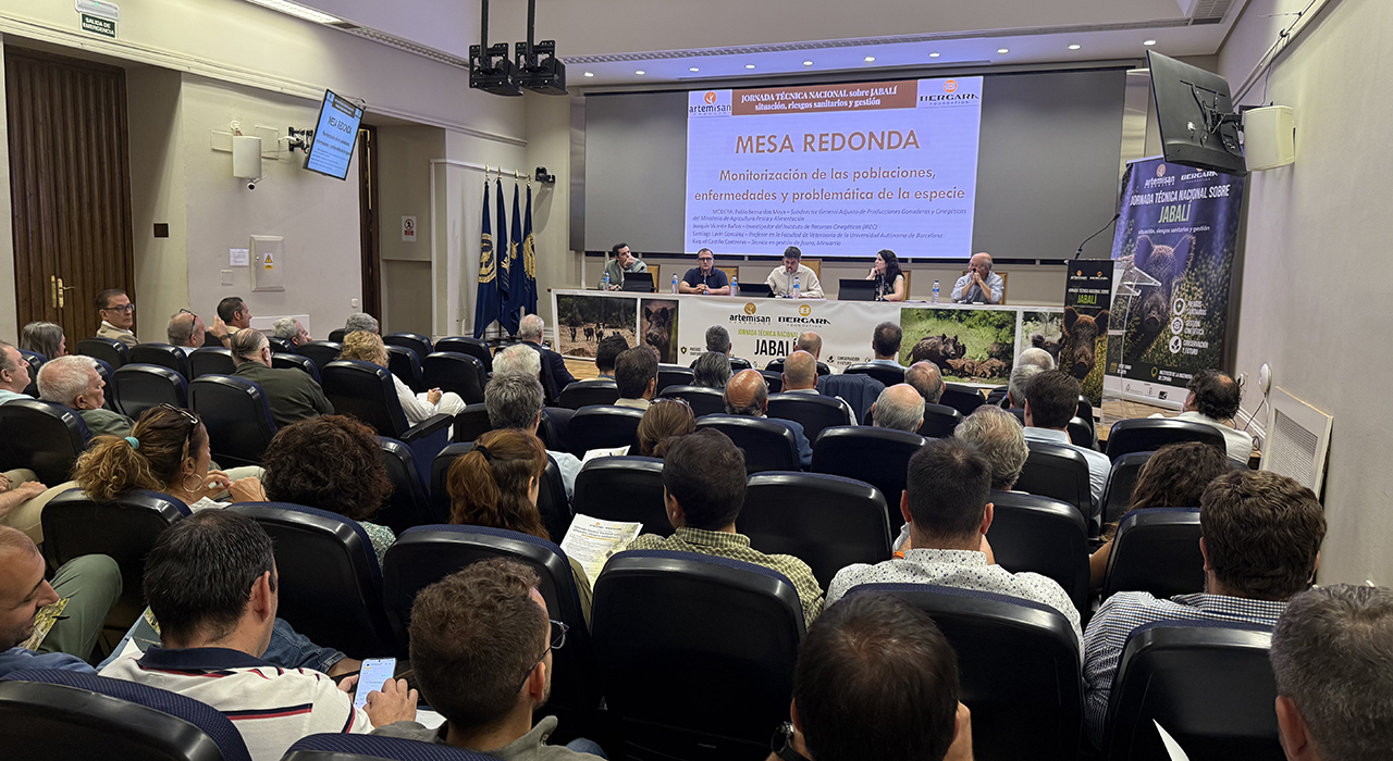 La peste porcina africana corre el riesgo de expandirse a otras comunidades autónomas