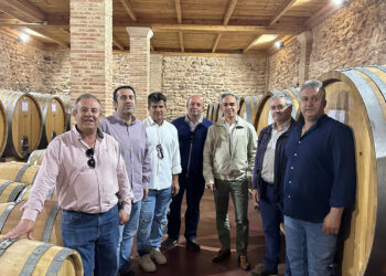 El Gobierno de Castilla-La Mancha ha destinado 27,9 millones de euros al sector vitivinícola de la provincia de Cuenca a través de las ayudas VINATI desde el año 2015. Esta inyección económica ha movilizado más de 71,6 millones de euros en inversión total, impulsando 98 proyectos orientados a la modernización de las instalaciones locales. De estas iniciativas, la gran mayoría corresponde a cooperativas, sumando 64 beneficiarios frente a 34 sociedades privadas. El objetivo principal radica en adaptar la producción a un mercado exigente mediante mejoras en tecnología, eficiencia energética y sostenibilidad. El delegado provincial de Agricultura, Ganadería y Desarrollo Rural, Rodrigo Fernández Alcalde, ha confirmado este avance productivo este viernes durante su visita a la localidad conquense de Las Mesas. Allí ha recorrido Bodegas Parra Jiménez, que recientemente automatizó su línea de embotellado y amplió su zona de crianza, y Bodegas Horcaja, un proyecto de nueva construcción. Ambas empresas ejemplifican cómo estas ayudas, que cubren una media del 40 por ciento de la inversión, permiten anclar la población al medio rural y generar empleo de calidad. Solo en la última convocatoria resuelta, correspondiente al ejercicio 2025, la provincia de Cuenca logró la aprobación de 16 expedientes. Estos proyectos supusieron una ayuda concedida de 6,2 millones de euros para respaldar inversiones subvencionables superiores a los 13 millones. Bodegas Parra Jiménez, fundada en 1993 y con 72 trabajadores en plantilla, fue una de las beneficiadas en ese ciclo para reforzar su apuesta por la agricultura ecológica y biodinámica. Mientras tanto, el sector aguarda la resolución de la convocatoria de 2026, cuyos proyectos se encuentran en plena fase de valoración técnica. Archivo histórico del sector El desarrollo de estas infraestructuras mantiene una línea de continuidad con el seguimiento agrario publicado en Liberal de Castilla durante el último año. La hemeroteca del medio refleja cómo la resolución de los expedientes VINATI de 2025 ya anticipaba un giro claro hacia la tecnificación y la sostenibilidad en las explotaciones de la provincia. Las bodegas conquenses han pasado de centrar sus recursos en ampliar capacidad de almacenamiento a priorizar los certificados medioambientales y la automatización de procesos, un paso clave para llegar a nuevos consumidores. La evolución de instalaciones como las radicadas en Las Mesas evidencia que la absorción de fondos autonómicos está reconfigurando la industria agroalimentaria local. Las inversiones sostenidas desde la pasada década trazan la trayectoria de un tejido productivo que asume la innovación tecnológica como herramienta fundamental de crecimiento. Este esfuerzo estructural confirma que el vino no solo mantiene su peso económico en Cuenca, sino que funciona como un motor indispensable para frenar la despoblación en los municipios rurales.