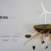 Llega a Cuenca el largometraje documental ‘Vidas irrenovables’, que analiza el despliegue de macroinstalaciones renovables en las zonas rurales 3 Llega a Cuenca el largometraje documental ‘Vidas irrenovables’, que analiza el despliegue de macroinstalaciones renovables en las zonas rurales