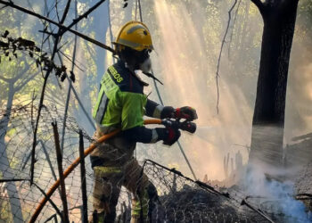 Movilizados 24 efectivos por una columna de humo en el histórico paraje de Villaflores