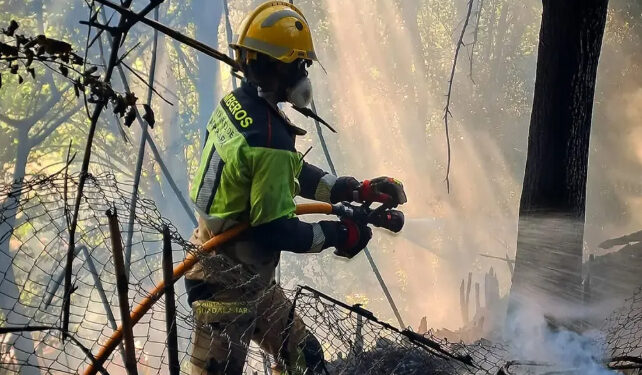 Desaparece del listado de incendios el de Villaflores en Guadalajara 1 Movilizados 24 efectivos por una columna de humo en el histórico paraje de Villaflores