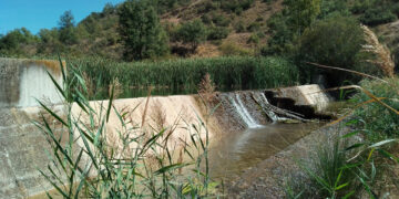 Pareja pone en marcha un estudio para recuperar 12 kilómetros del río Ompolveda y facilitar el paso de peces autóctonos