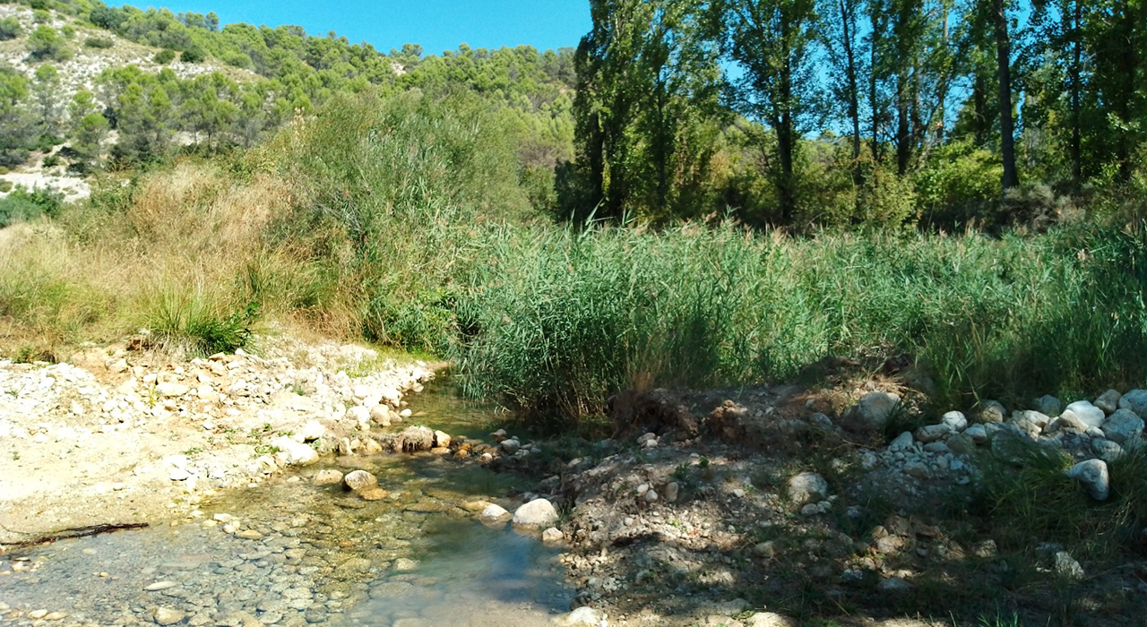 Pareja pone en marcha un estudio para recuperar 12 kilómetros del río Ompolveda y facilitar el paso de peces autóctonos 2 Pareja pone en marcha un estudio para recuperar 12 kilómetros del río Ompolveda y facilitar el paso de peces autóctonos