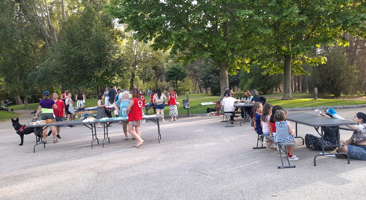 Ropa, libros y plantas por una buena causa: el trueque vecinal toma el parque de Los Moralejos en Cuenca 2 Ropa, libros y plantas por una buena causa el trueque vecinal toma el parque de Los Moralejos en Cuenca