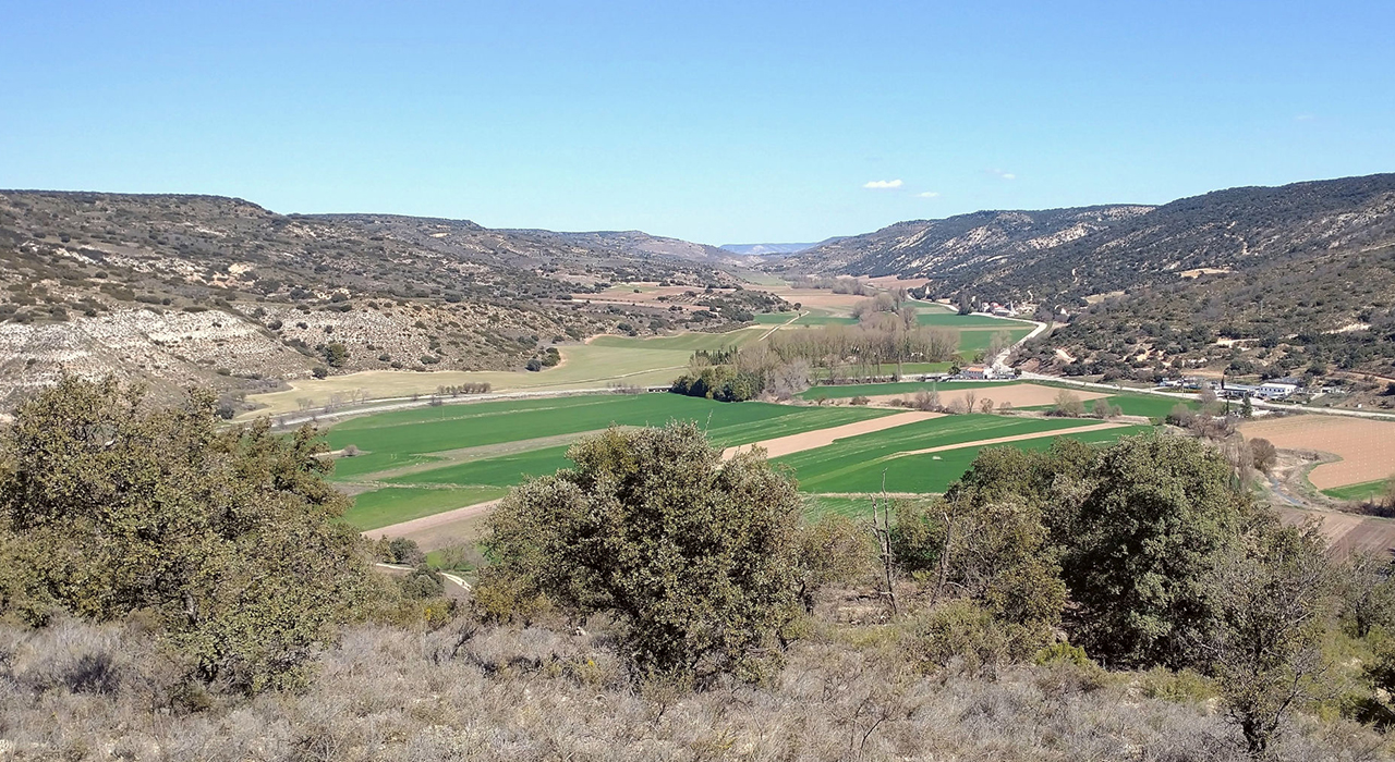 Vega del Tajuña 