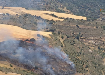 Controlado el incendio forestal de Budia tras la intervención de 43 efectivos Controlado el incendio forestal de Budia tras la intervención de 43 efectivos