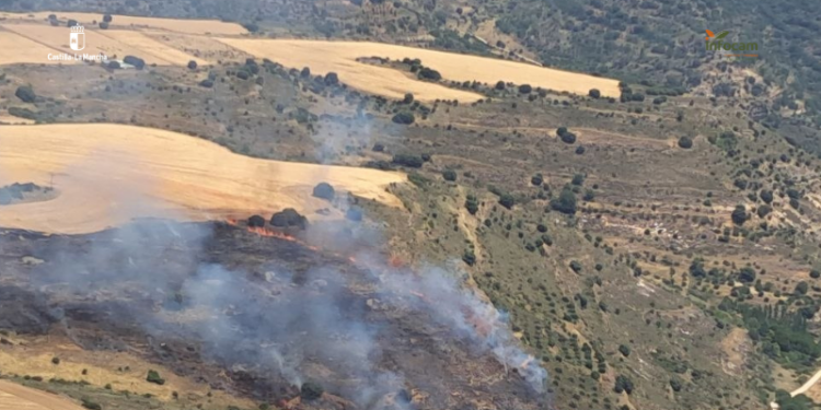 Controlado el incendio forestal de Budia tras la intervención de 43 efectivos 1 Un incendio activo en Budia moviliza a 33 efectivos del Infocam