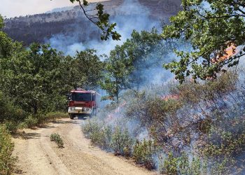 Agroseguro garantiza el pago de daños agrícolas y ganaderos tras el incendio de La Mierla
