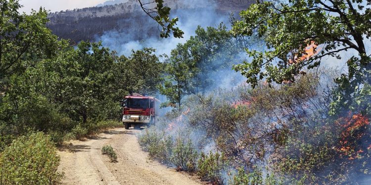 Agroseguro garantiza el pago de daños agrícolas y ganaderos tras el incendio de La Mierla