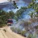 Agroseguro garantiza el pago de daños agrícolas y ganaderos tras el incendio de La Mierla
