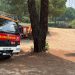 Tres vehículos y seis bomberos de la Diputación de Cuenca acuden a Ávila para colaborar en la extinción de los incendios