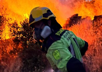 Bomberos del Ayuntamiento de Guadalajara protegen La Miñosa del fuego