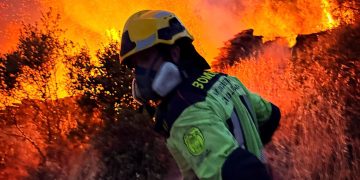 Bomberos del Ayuntamiento de Guadalajara protegen La Miñosa del fuego