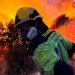 Bomberos del Ayuntamiento de Guadalajara protegen La Miñosa del fuego