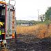 Bomberos y Protección Civil de Guadalajara se despliegan para frenar el incendio de La Mierla