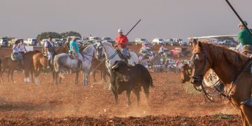 Brillante segundo encierro campero en Cabanillas, con un toro sobresaliente de «Camino de Santiago»