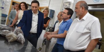 El CIES de la Diputación de Cuenca coordina un proyecto de innovación dotado con 239.484 euros para desarrollar nuevos biofungicidas para el cultivo del champiñón