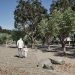 Cabanillas del Campo inicia la esperada reforma integral del Parque Buero Vallejo por casi medio millón de euros Cabanillas del Campo inicia la esperada reforma integral del Parque Buero Vallejo por casi medio millón de euros