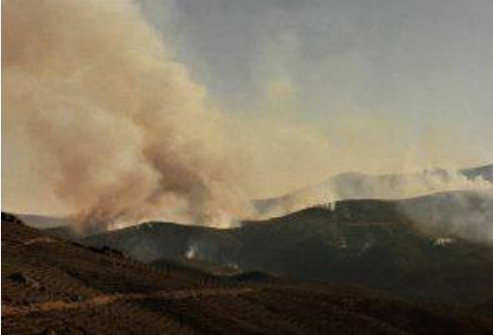 El humo borró el horizonte, el aire se tiñó de un naranja enfermo y el fin del mundo no llegó con un trueno sino con un suspiro de ceniza 3 Captura de pantalla 2026 07 18 232229
