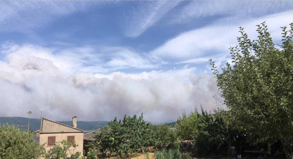 El humo borró el horizonte, el aire se tiñó de un naranja enfermo y el fin del mundo no llegó con un trueno sino con un suspiro de ceniza 2 Captura de pantalla 2026 07 18 233312