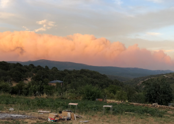 El humo borró el horizonte, el aire se tiñó de un naranja enfermo y el fin del mundo no llegó con un trueno sino con un suspiro de ceniza