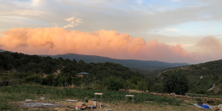 El humo borró el horizonte, el aire se tiñó de un naranja enfermo y el fin del mundo no llegó con un trueno sino con un suspiro de ceniza El humo borró el horizonte, el aire se tiñó de un naranja enfermo y el fin del mundo no llegó con un trueno sino con un suspiro de ceniza