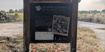 Cardenete convierte sus calles en un museo micológico al aire libre único en Cuenca