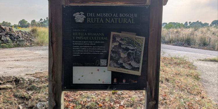 Cardenete convierte sus calles en un museo micológico al aire libre único en Cuenca