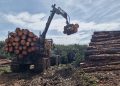 Castilla-La Mancha destina 2,4 millones para modernizar la maquinaria del sector forestal