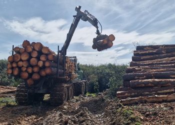 Castilla-La Mancha destina 2,4 millones para modernizar la maquinaria del sector forestal