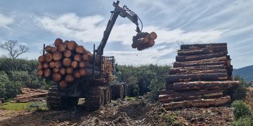 Castilla-La Mancha destina 2,4 millones para modernizar la maquinaria del sector forestal