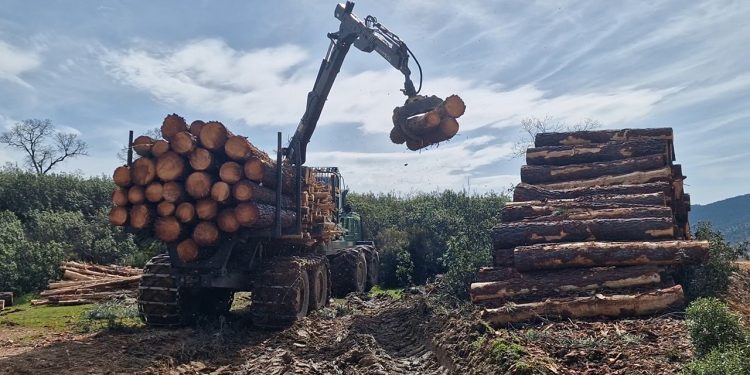 Castilla-La Mancha destina 2,4 millones para modernizar la maquinaria del sector forestal