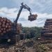 Castilla-La Mancha destina 2,4 millones para modernizar la maquinaria del sector forestal