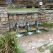 Clausuran la Fuente del Royo en Cuenca al confirmar contaminación en el agua 3 Clausuran la Fuente del Royo en Cuenca al confirmar contaminación en el agua