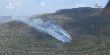 Estabilizado el incendio de El Cardoso de la Sierra gracias a la coordinación operativa entre Castilla-La Mancha y Castilla y León