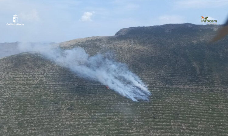 Despliegue aéreo y terrestre frente a un incendio forestal en El Cardoso de la Sierra