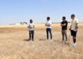 La Diputación de Cuenca transfiere 320.000 euros a 65 cotos de caza para frenar los daños del conejo en el campo